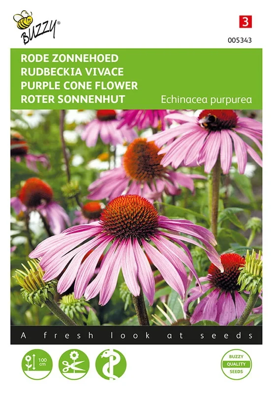 Buzzy Seeds Sonnenhut Roter