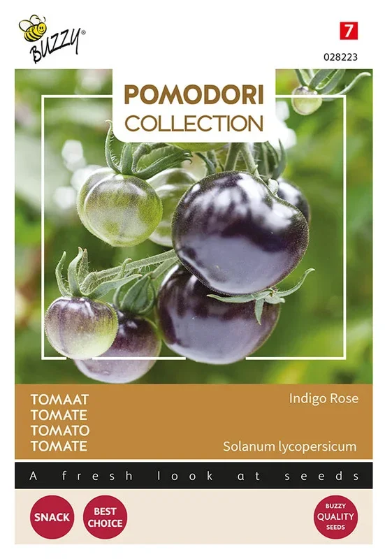 Buzzy Seeds Tomate Indigo Rose (zwart)