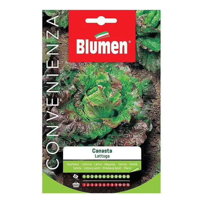 Canasta Salatsamen im Beutel – Maxi