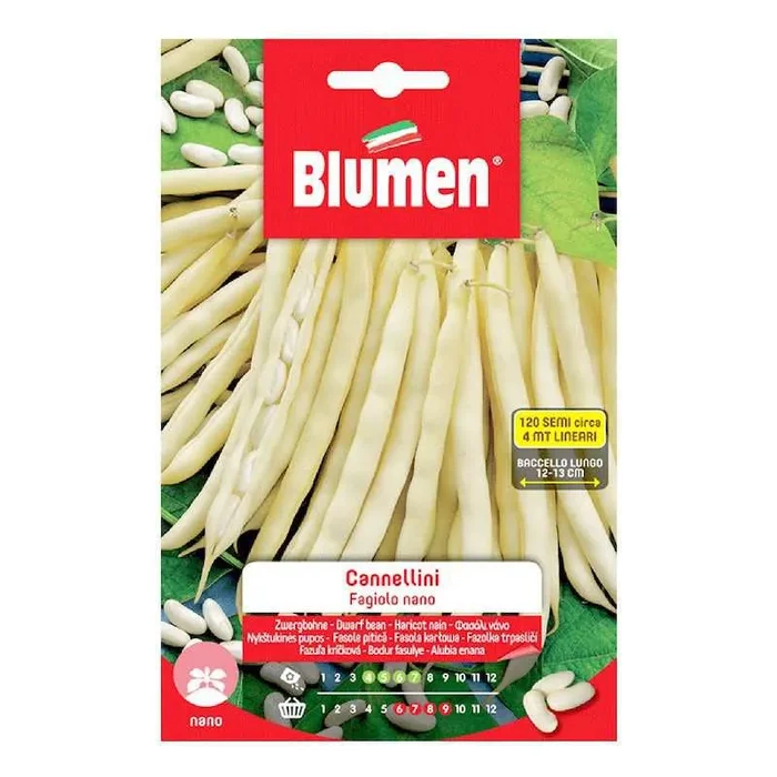 Cannellino Zwergbohnenkerne im Maxibeutel