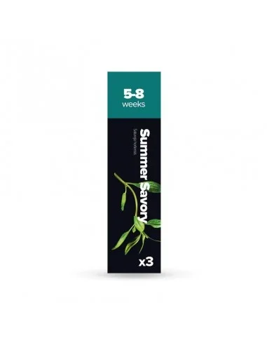 CAPSULE 3X Santoreggia