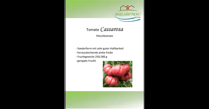 Cassarosa