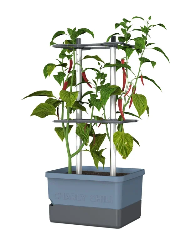 CHARLY CHILI Chilitopf blau