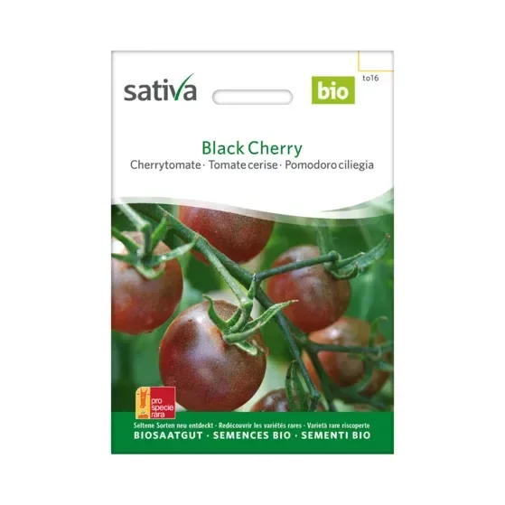 Cherrytomate Black Cherry Biosamen to16