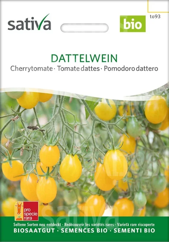 Cherrytomate Dattelwein samenfeste Bio-Sorte, Freilandsorte, platzfest