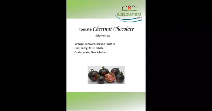 Chestnut Chocolate
