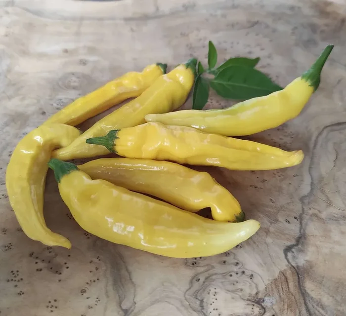 Chili „Hot Lemon“ Zitronenchili