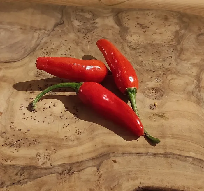 Chili „Hungarian Wax“