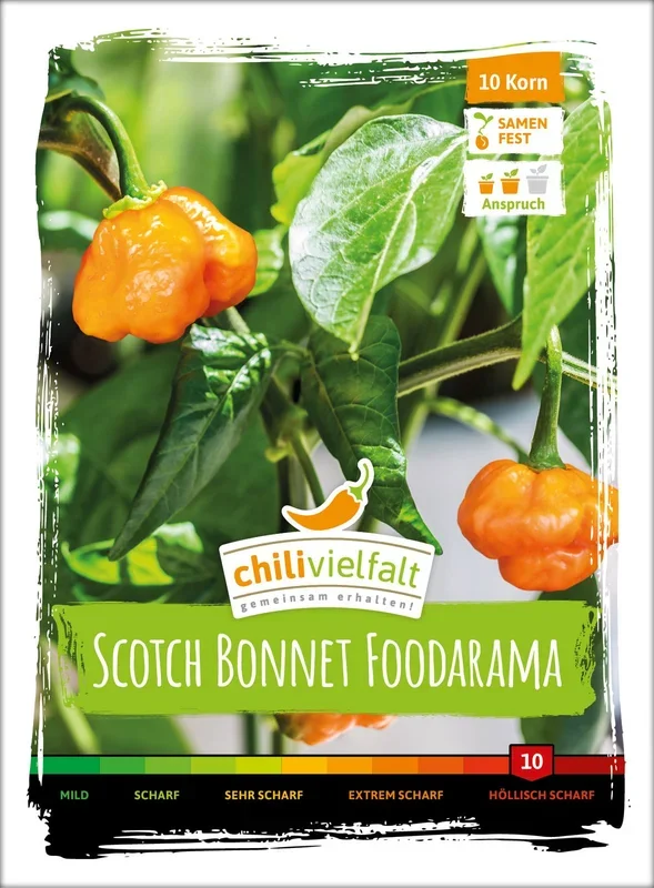 Chili Scotch Bonnet Foodarama Yellow