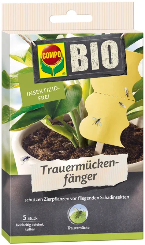 COMPO BIO Trauermückenfänger, 5 Stück