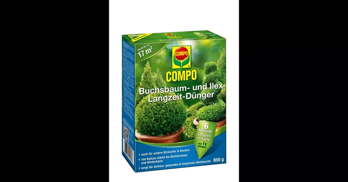 Compo Buchsbaum- und Ilex Langzeit-Dünger