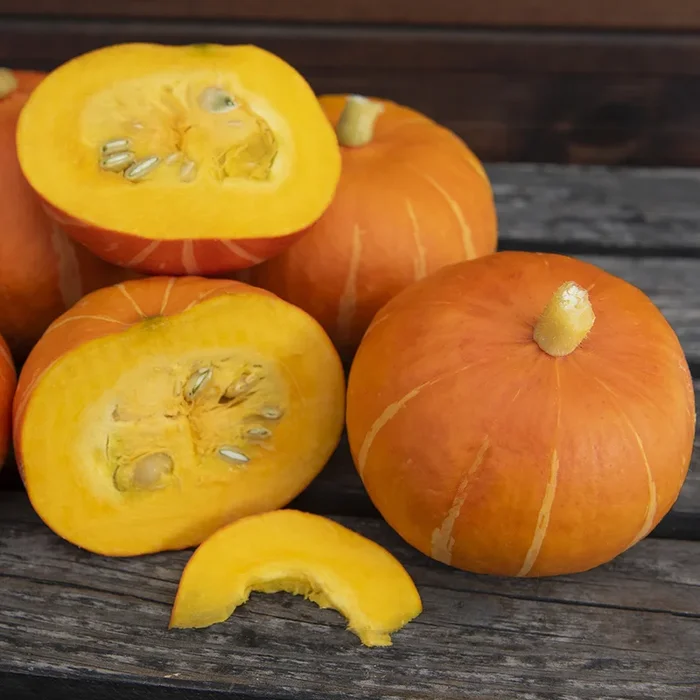 Cucurbita maxima