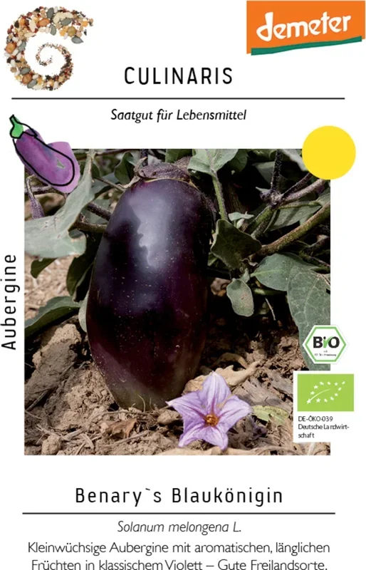 Culinaris Bio Aubergine Benary´s Blaukönigin