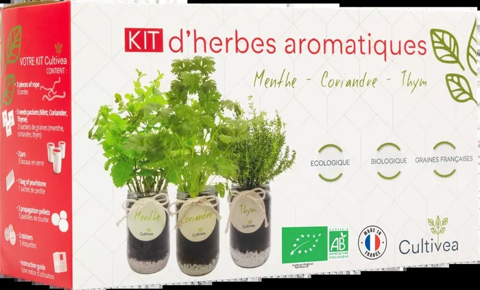 Cultivea Ready to grow-Set Kräuter (Minze, Koriander, Thymian)