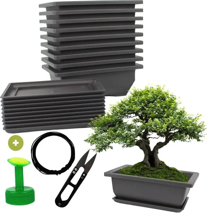 Cultivea Set mit 10 Bonsai-Töpfen