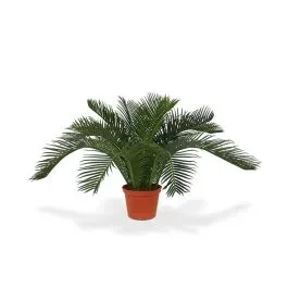 Cycas künstliche Babypalme N 50 cm