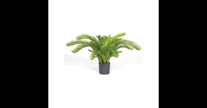 CYCASPALME DELUXE Kunstpflanze
