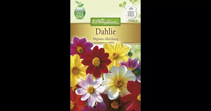 Dahliensamen ‚Mignon‘