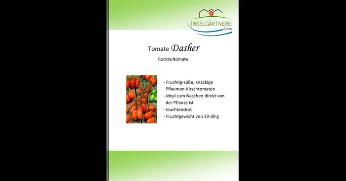 Dasher F1