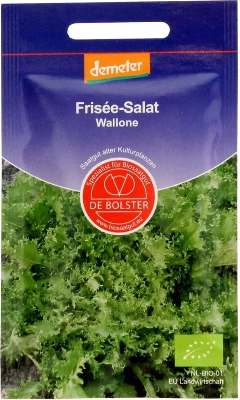 De Bolster Frisée-Salat „Wallone“, 2 g