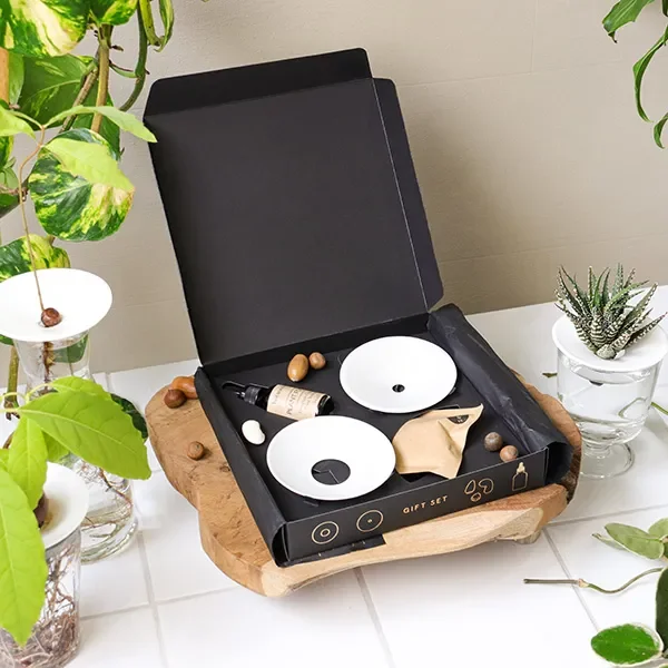 Deluxe Gift Box – Germination & Propagation in water