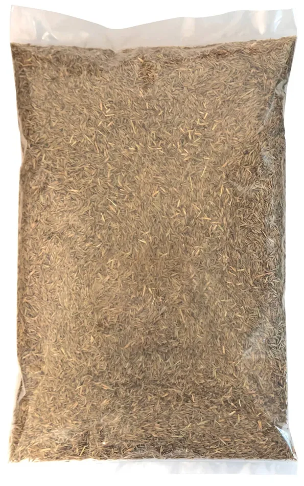 Deutsches Weidelgras Grasslands Nui
