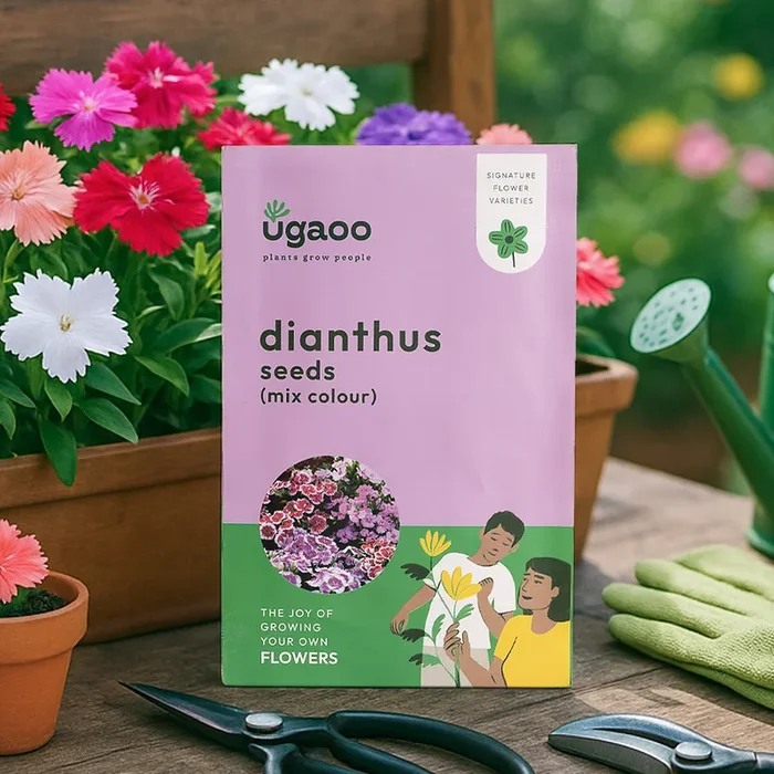 Dianthus Mix Seeds