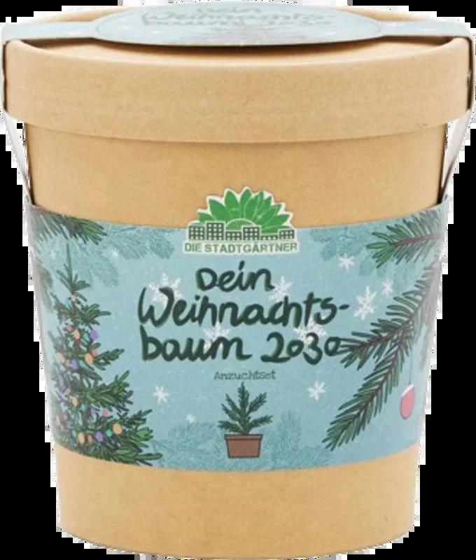 Die Stadtgärtner Weihnachtsbaum aus dem Becher