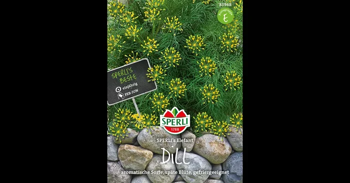 Dill ‚Elefant‘