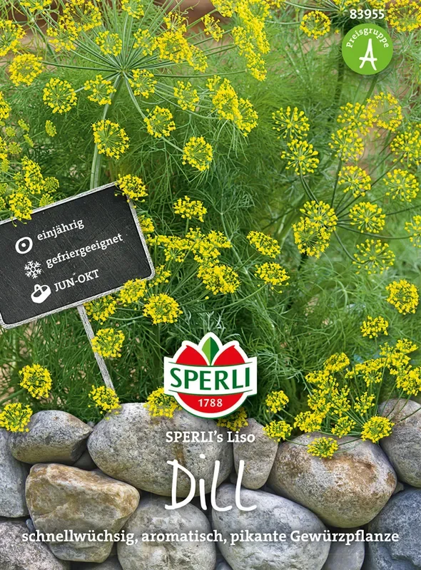 Dill ‚Liso‘