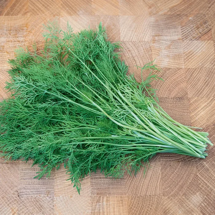 Dill Bio-Kräuter-Saatscheiben