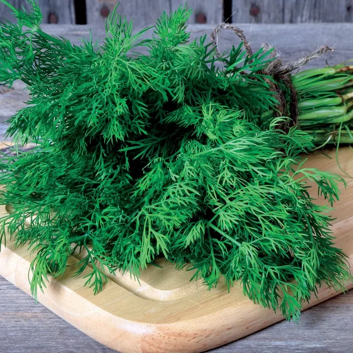 Dill Bouquet