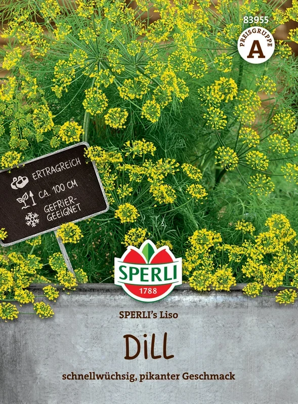Dill Liso