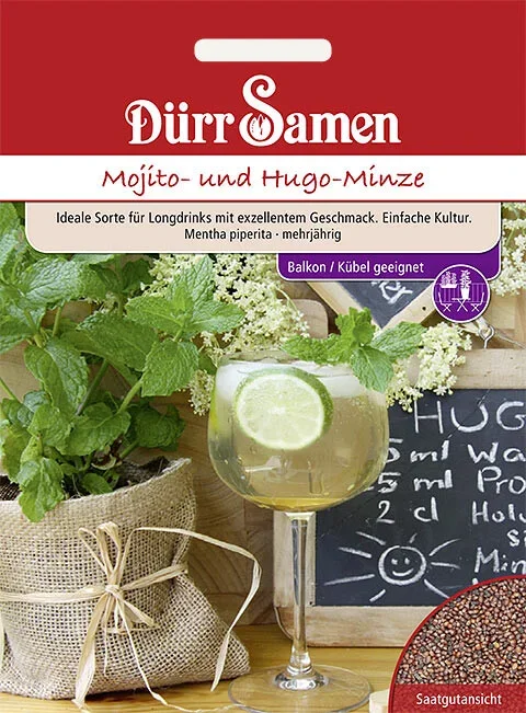 Dürr Mojito- und Hugo-Minze, aromatisch & vielseitig einsetzbar