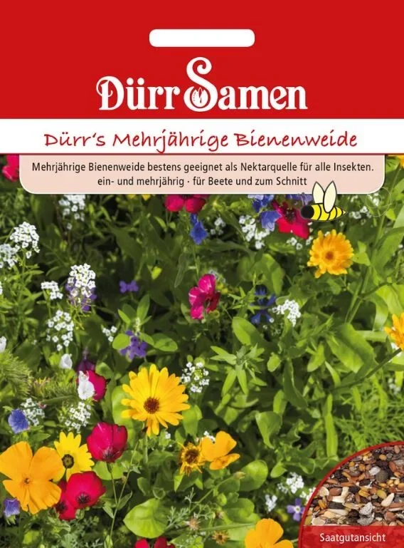 Dürr´s Mehrjährige Bienenweide, Nektarquelle für alle Insekten, Inhalt: für ca. 5m²