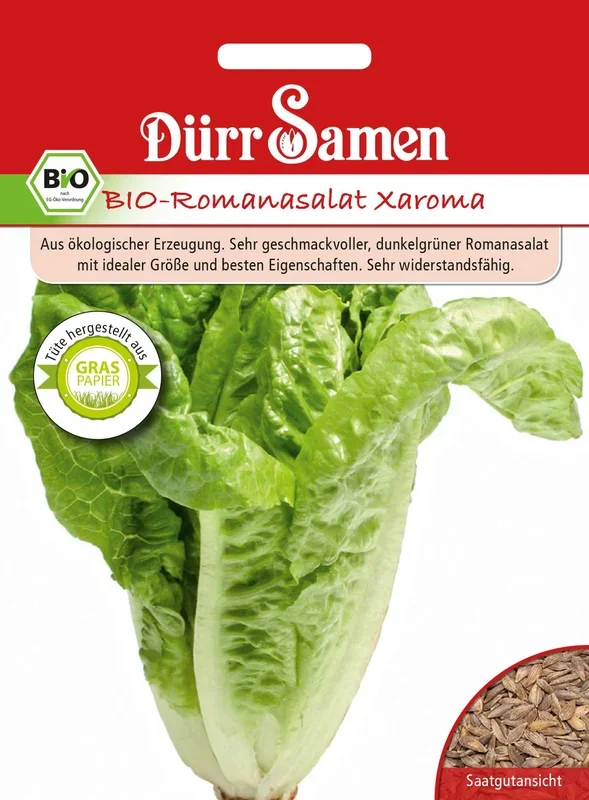 Dürr Samen BIO-Romana-Salat Xaroma