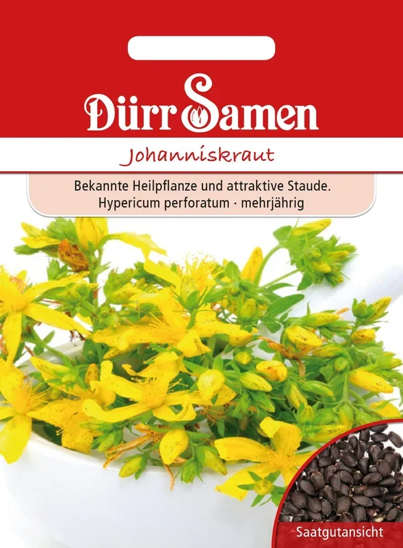 Dürr Samen Johanniskraut