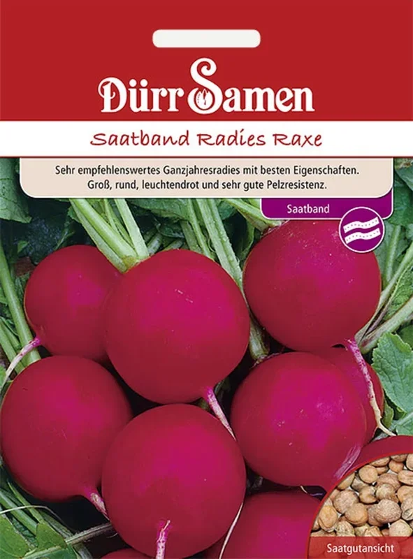 Dürr Samen Saatband Radies Raxe