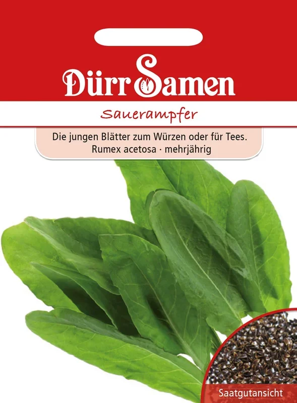 Dürr Samen Sauerampfer