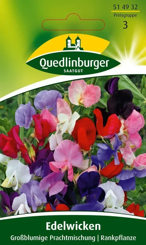 Edelwicke Großblumige Mischung