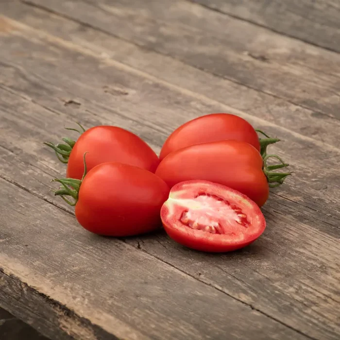 Eiertomate rot Bio-Gemüse-Samen