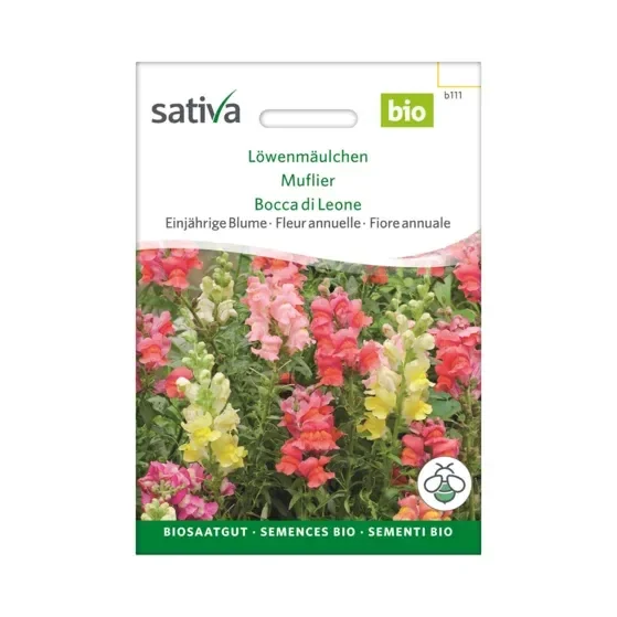 Einjährige Blume Löwenmäulchen Biosamen b111
