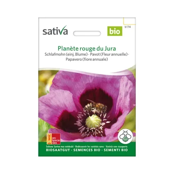 Einjährige Blume Schlafmohn Planète Rouge Du Jura Biosamen b174