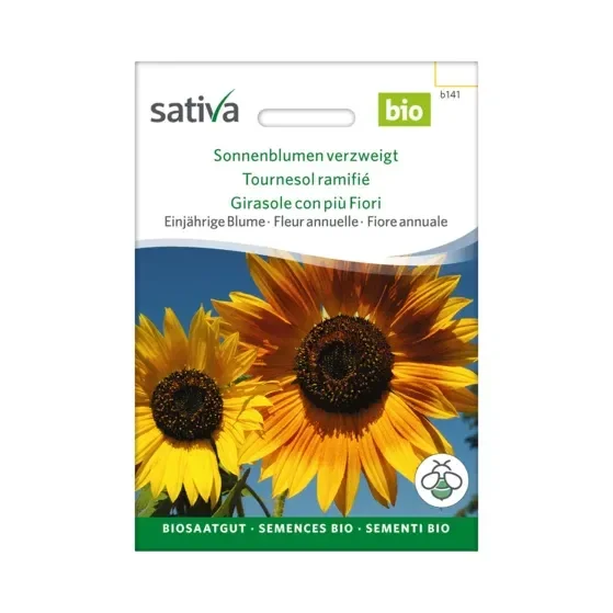 Einjährige Blume Sonnenblumen Verzweigt Biosamen b141