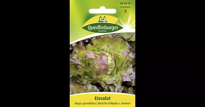 Eisbergsalatsamen ‚Rouge Grenobloise‘
