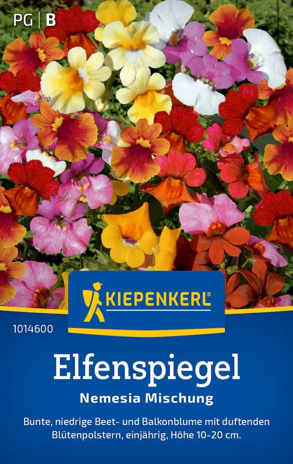 Elfenspiegelsamen Nemesia Mischung