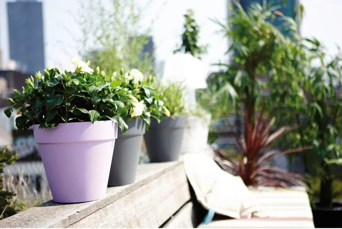 elho loft urban rund 20, lavendel lila