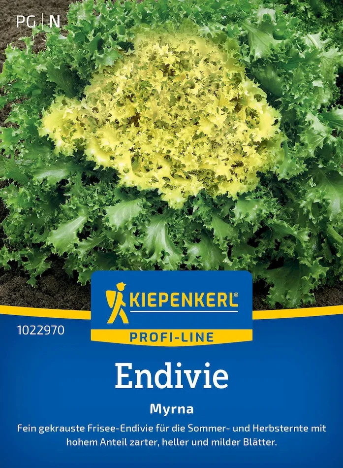 Endiviensamen Myrna