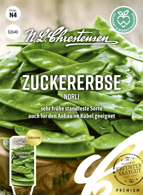 Erbsensamen ‚Norli‘