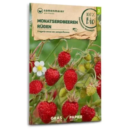 ErdbeersamenMonatserdbeere Rügen